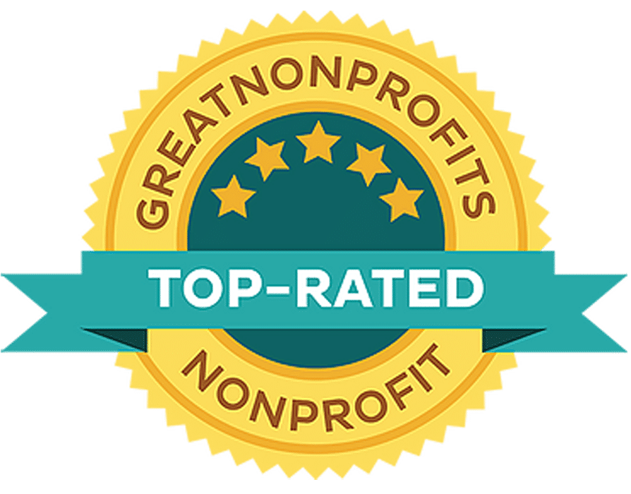 Great Nonprofits Lg Size